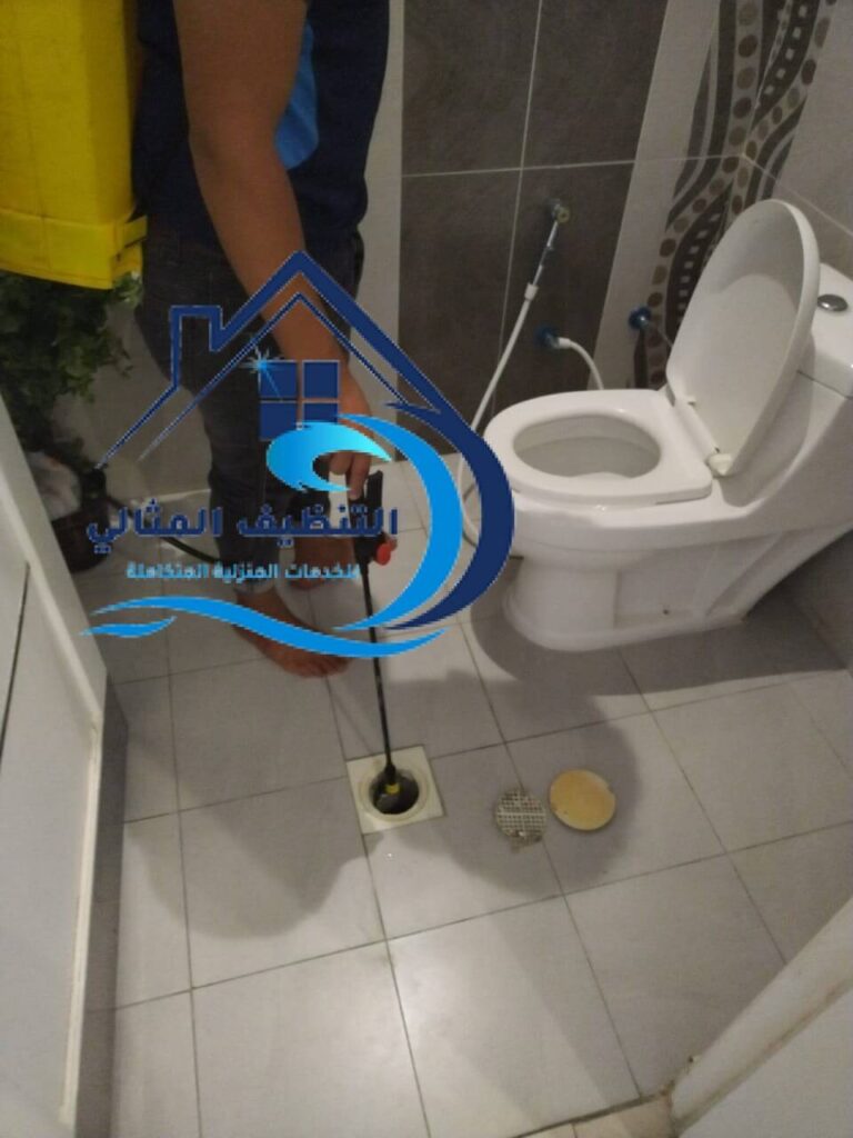 مكاغحة حشرات الحمام